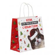 Пакет подарочный новогодний крафтовый «Котик» Дарите счастье