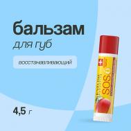 Бальзам для губ ARGAN OIL EXOTIC MANGO EVELINE