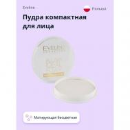 Пудра компактная для лица ALL DAY IDEAL STAY EVELINE