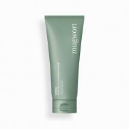 Пенка для лица очищающая успокаивающая с полынью Mugwort Skin Care 140 Kundal