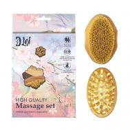 BEAUTY BOX: щетка тампико  / массажер Lei