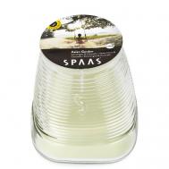 Свеча в стакане  Цитронелла Азиатский сад 1 Spaas