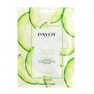 Маска для лица тканевая для питания кожи Winter is coming 19 Payot