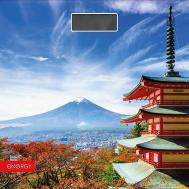 Весы напольные электронные  EN-419H Energy