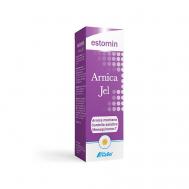 Гель арника 100 DESTEK