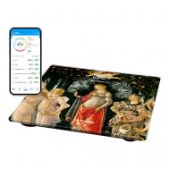 Умные диагностические весы ST-SC5002B Stingray