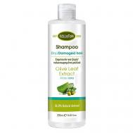 Шампунь для сухих и поврежденных волос с АЛОЕ ВЕРА и ЭКСТРАКТОМ ЛИСТЬЕВ ОЛИВЫ 250 KALLISTON