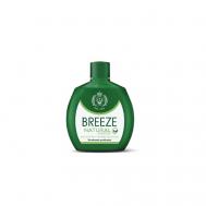 Парфюмированный дезодорант NATURAL ESSENCE 100 Breeze