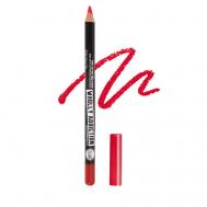Карандаш для губ WHOLLY ADDICTION J. CAT BEAUTY