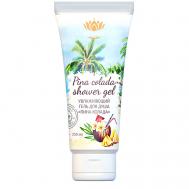Увлажняющий гель для душа Pina Colada 250 REAMAY