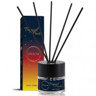 Парфюм для дома Тропические фрукты - манго имаракуйя 50 DIVACHI