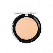 Пудра для лица минеральная INDENSE J. CAT BEAUTY