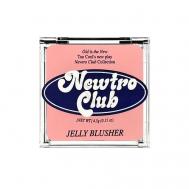 Румяна для лица Newtro Club TOO COOL FOR SCHOOL