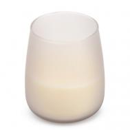 Свеча в матовом стакане Цитронелла Имбирная любовь 1 Spaas