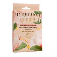 Набор бульонок для декора ногтей Girl PWR, 12 цветов Beauty Fox