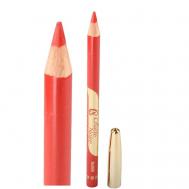 Карандаш для губ Chatte Noire