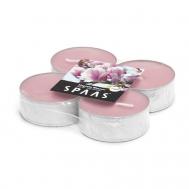 Свеча чайная макси ароматическая Цветущая могнолия 1 Spaas