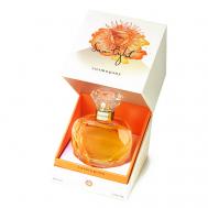 Sun Light 65 COSMOGONY