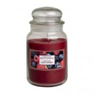 Свеча ароматическая "Ягодный микс" 510 ALADINO