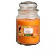 Свеча ароматическая "Апельсин" 510 ALADINO