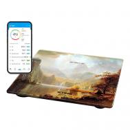 Умные диагностические весы ST-SC5002B Stingray