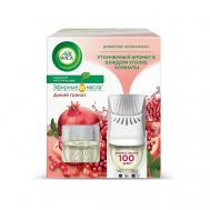 Диффузор аромамасел со сменным флаконом "Дикий гранат" 19 Airwick