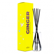 Диффузор ароматический Ginger 100 AROMA HARMONY