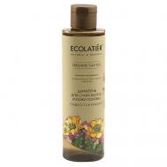 Шампунь для сухих волос и кожи головы Гладкость & Красота ORGANIC CACTUS 250 ECOLATIER