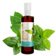 Натуральный дезодорант квасцовый Мята 100 СПАСИ БАРСУКА