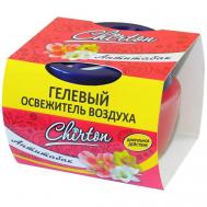 Гелевый освежитель воздуха для дома ванны туалета Антитабак 120 CHIRTON
