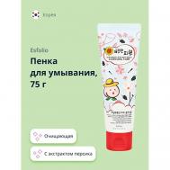Пенка для умывания с экстрактом персика 75 ESFOLIO