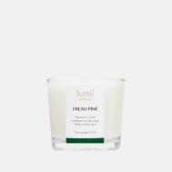 Ароматическая свеча petite Fresh pine 90 LUMI CANDLE CO.