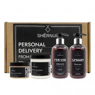 Набор для ухода за волосами склонных к жирности SHERNUR