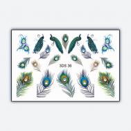 Объемный 3D слайдер дизайн со стразами "Pavo Linnaeus" Freedecor