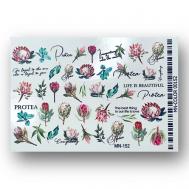 Слайдер дизайн для ногтей 2D MN 152 Anna Tkacheva