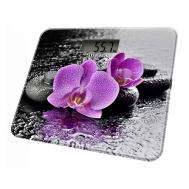 Весы напольные электронные стеклянные BSS-2011 SUPRA