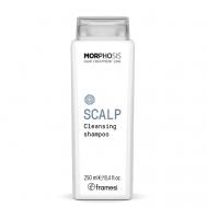 Очищающий шампунь для кожи головы SCALP CLEANSING MORPHOSIS 250 FRAMESI