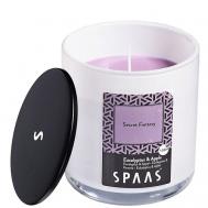 Свеча ароматическая в стакане с алюминиевой крышкой Эвкалипт-Яблоко 1 Spaas