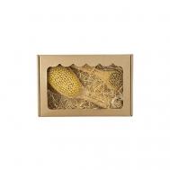 Набор: щетка тампико/щетка для лица Lei