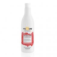 Кондиционер для окрашенных волос YE COLOR CARE CONDITIONER 500 Yellow