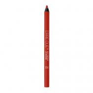 Карандаш для губ стойкий Silky Premium Lip Definer ERRE DUE