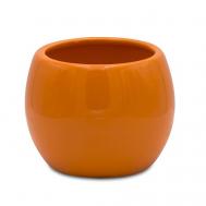 Стаканчик Belly Ridder