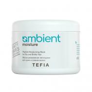 Маска-увлажнение пептидная для сухих и ломких волос AMBIENT Moisture 500 TEFIA