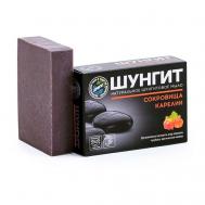 Шунгитовое мыло Сокровища Карелии 100 ПРИРОДНАЯ АПТЕКА ШУНГИТ