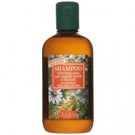 Шампунь питательный для тонких окрашенных волос Shampoo ristrutturante nutriente 250 Ardes