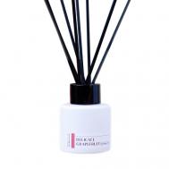 Аромадиффузор для дома "Нежный грейпфрут" 50 AESTHETE HOME