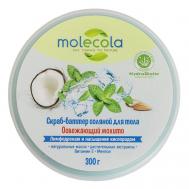 Скраб-баттер соляной для тела Освежающий мохито 300 MOLECOLA