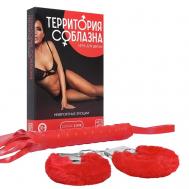 Игра для двоих Территория соблазна. Невероятные эмоции 3 в 1 ECSTAS