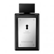 The Secret 100 BANDERAS