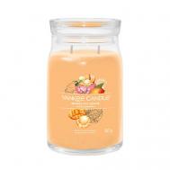 Ароматическая свеча  Mango Ice Cream 567 YANKEE CANDLE